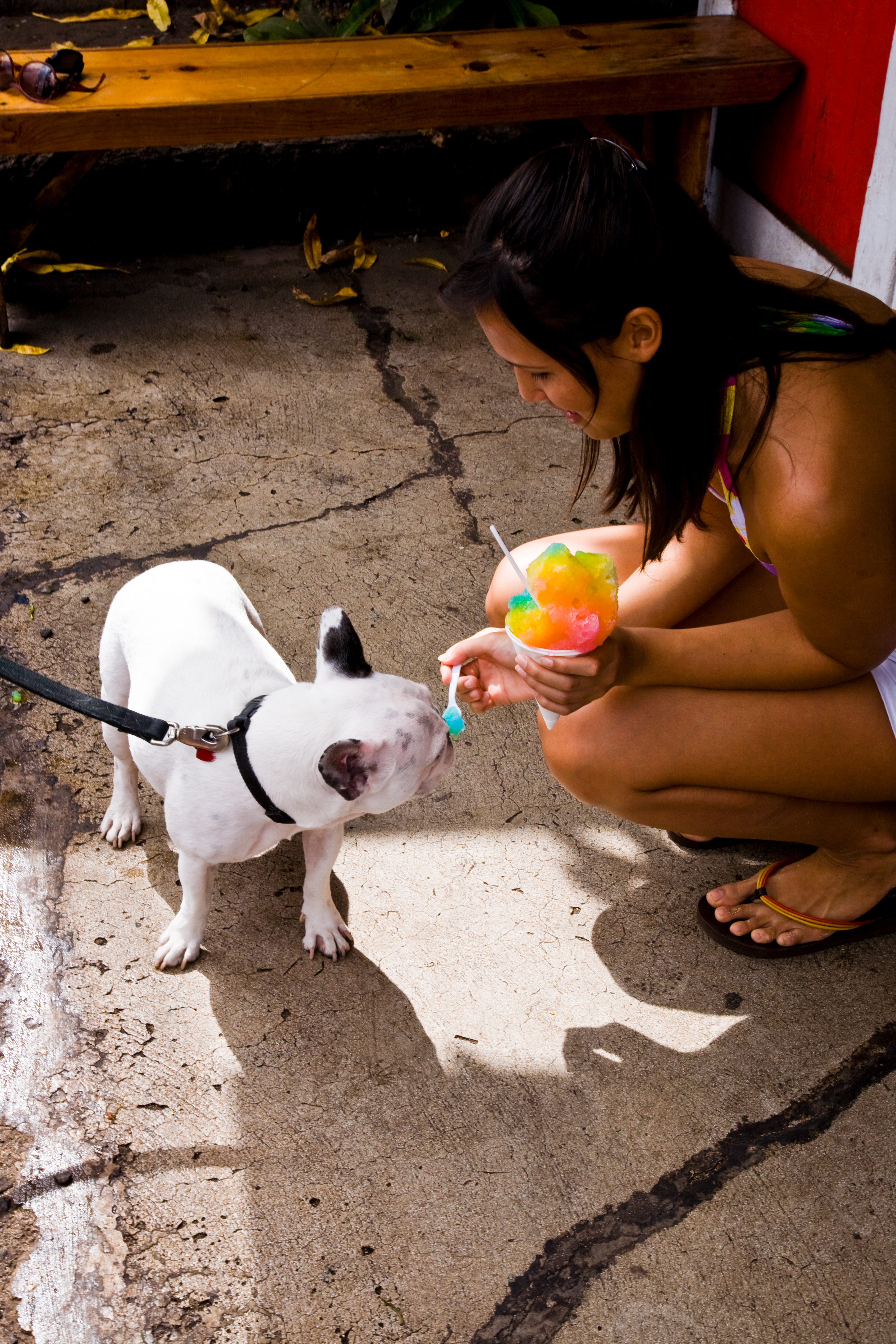 Local woman feeding a dog shave ice