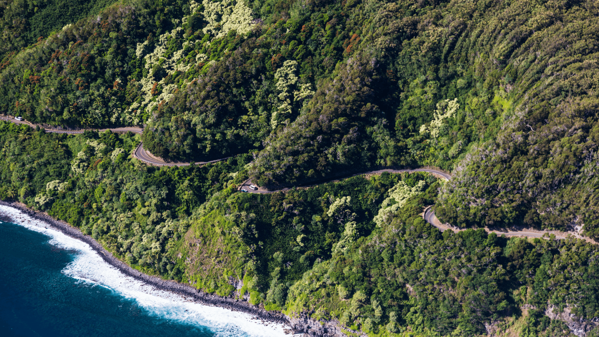 The winding road to Hāna The winding road to Hana