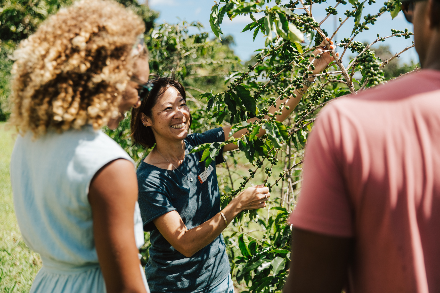 Host explains coffee growing to visitors Host explains coffee growing to visitors