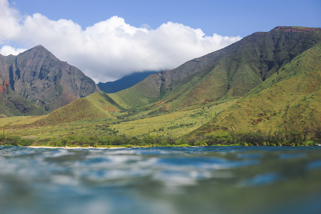 Maui Maui