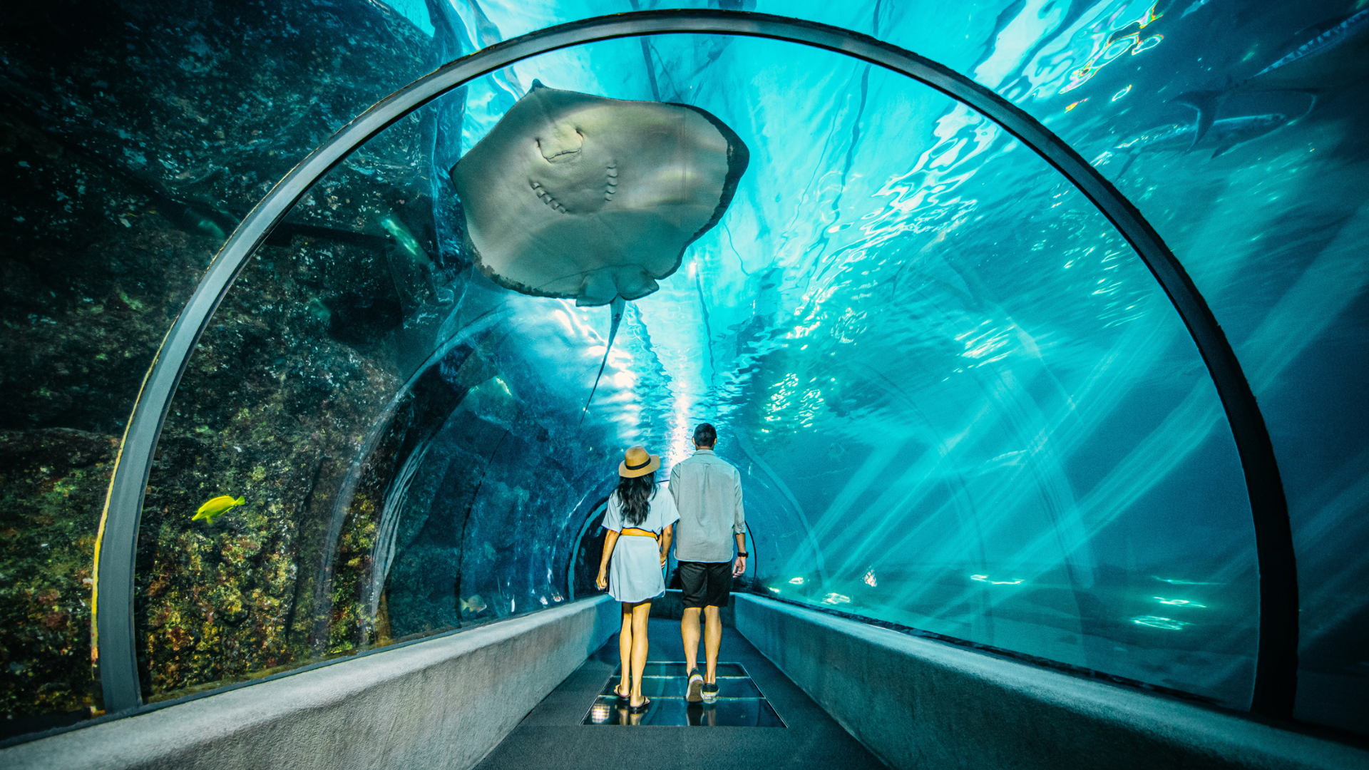 Maui Ocean Centre Maui Ocean Centre