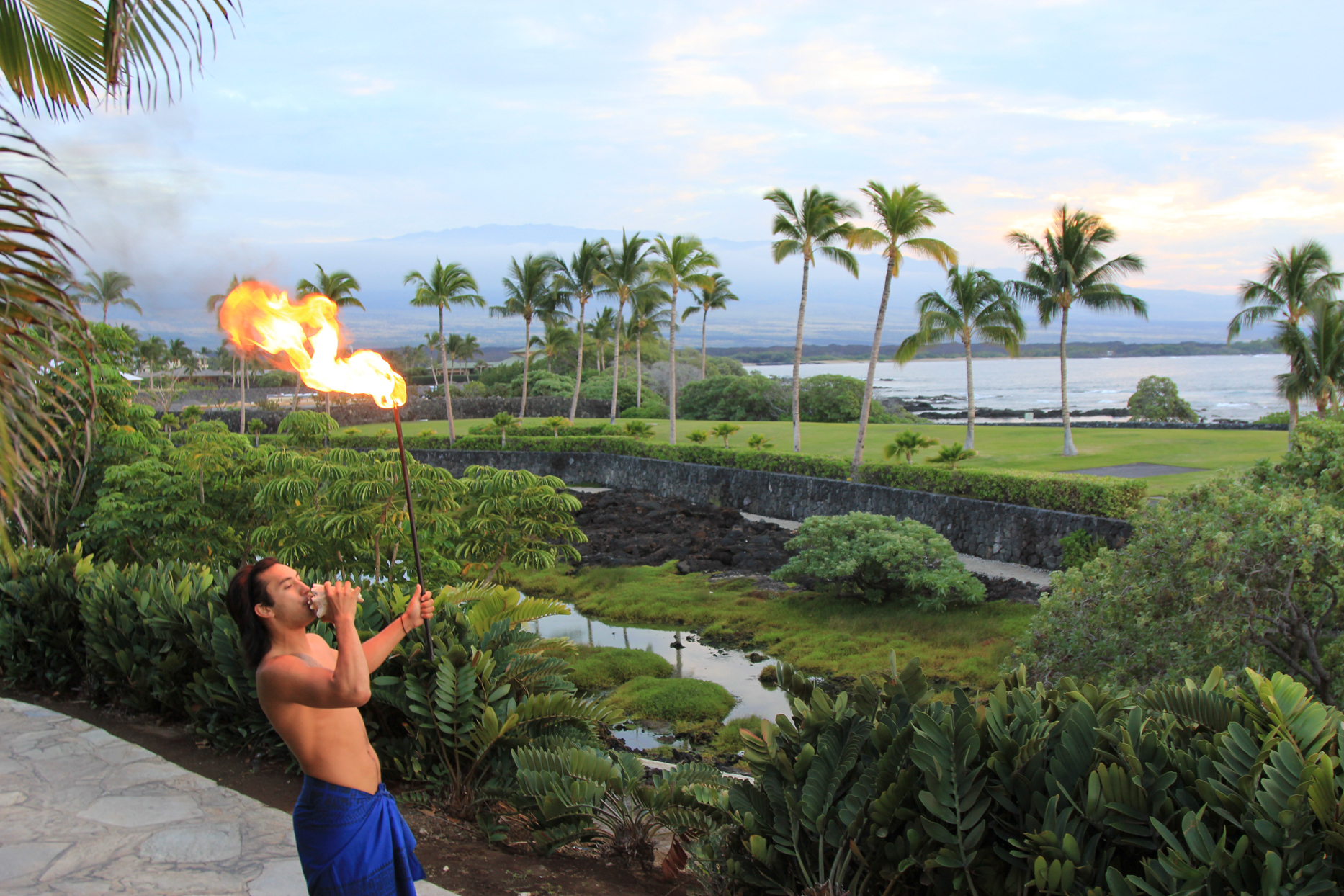 Luau