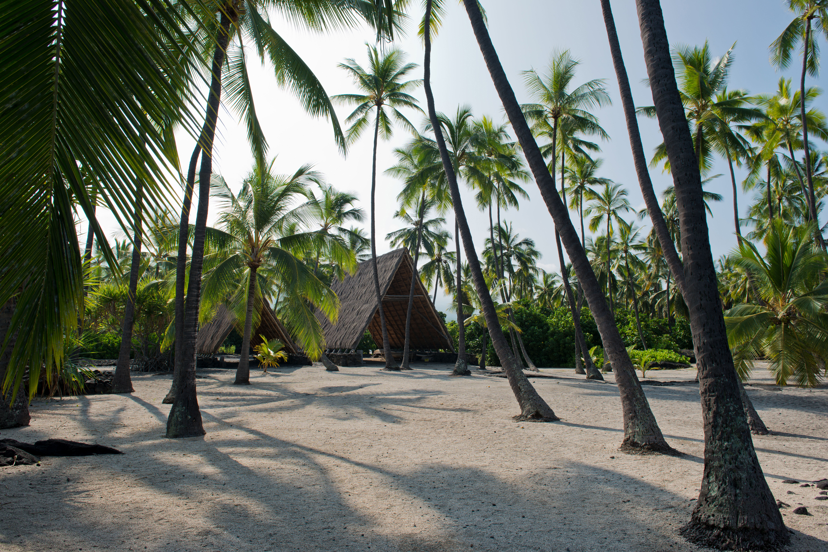 Puuhonua o Honaunau National Historical Park