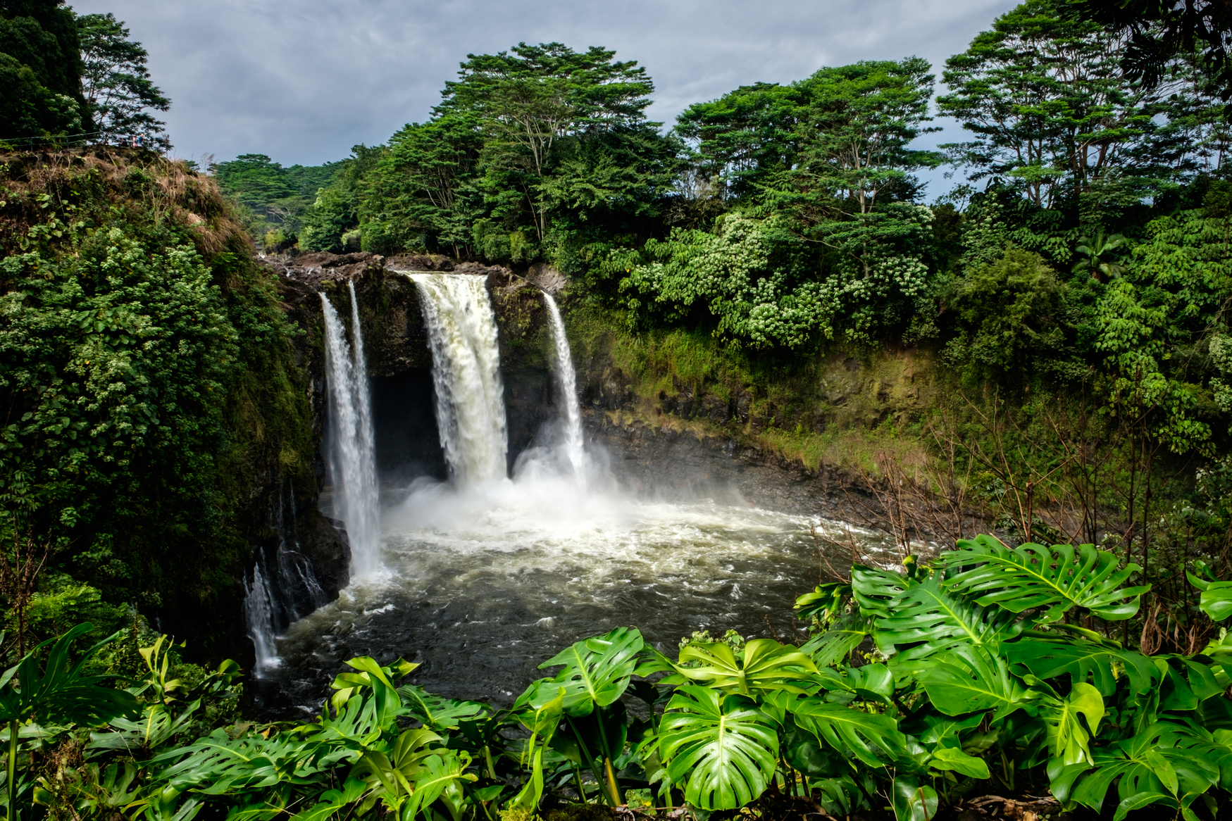 Living in Hilo, Hawaii  Insider's Guide to Hilo