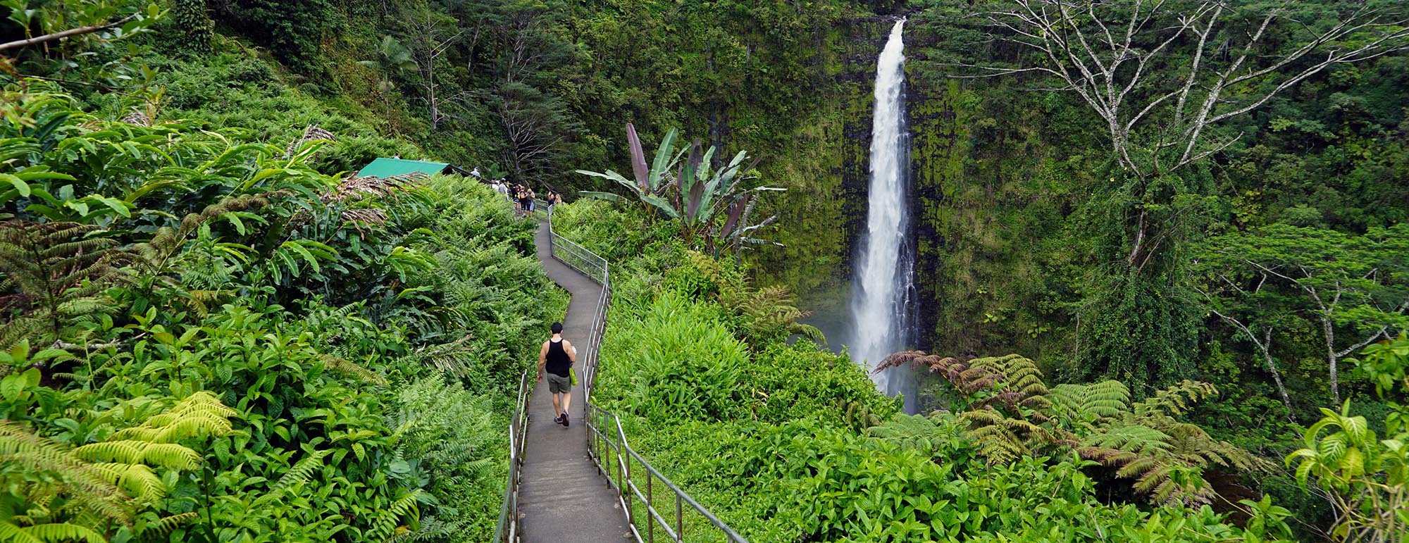 Woman hiking by waterful in Hawaii