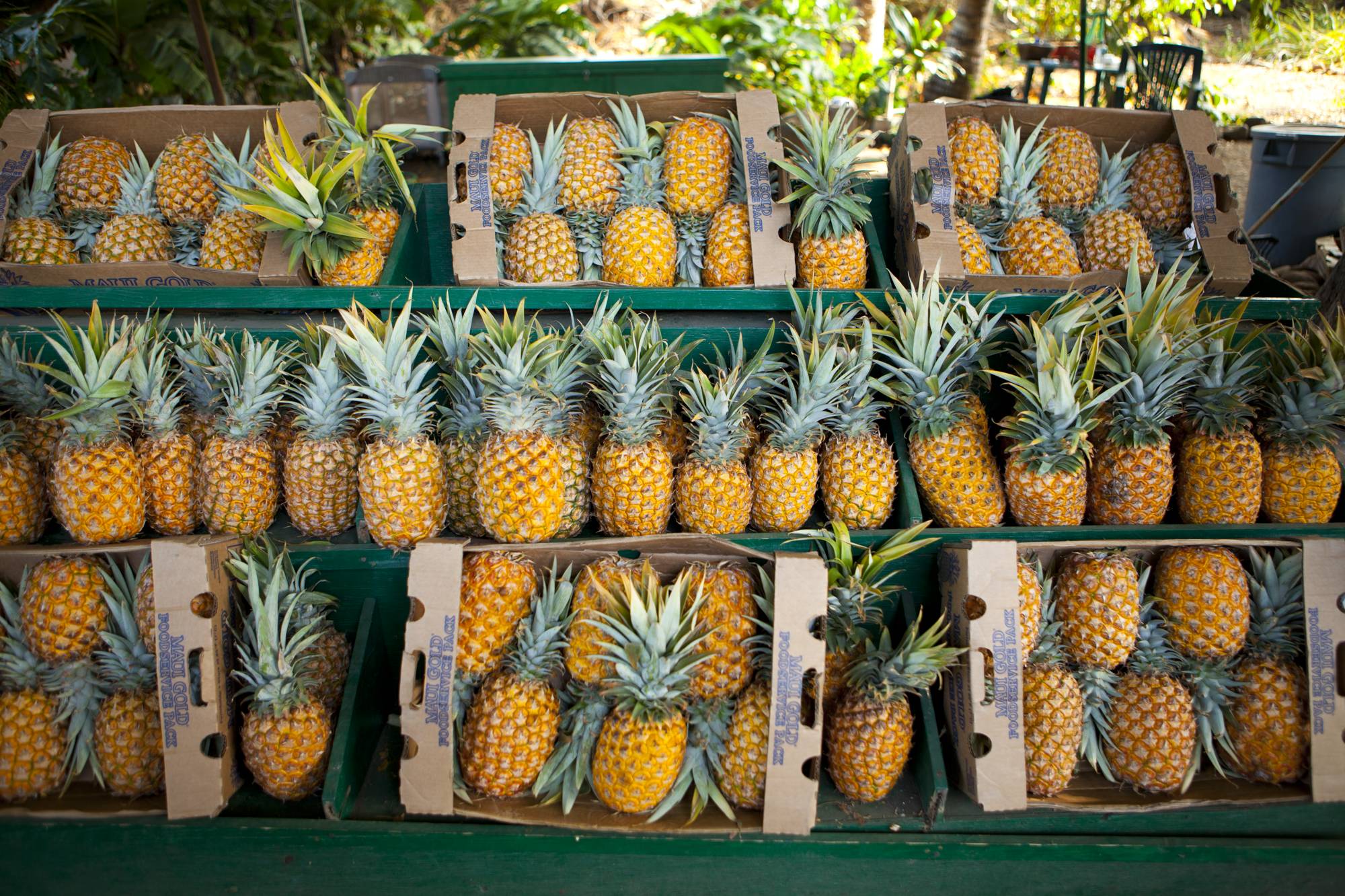 Box's of pineapples