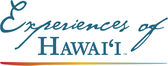Experiences Logo Experiences Logo