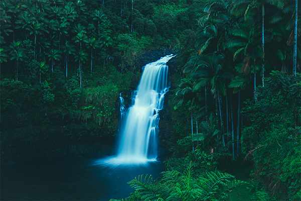 Hamakua Coast