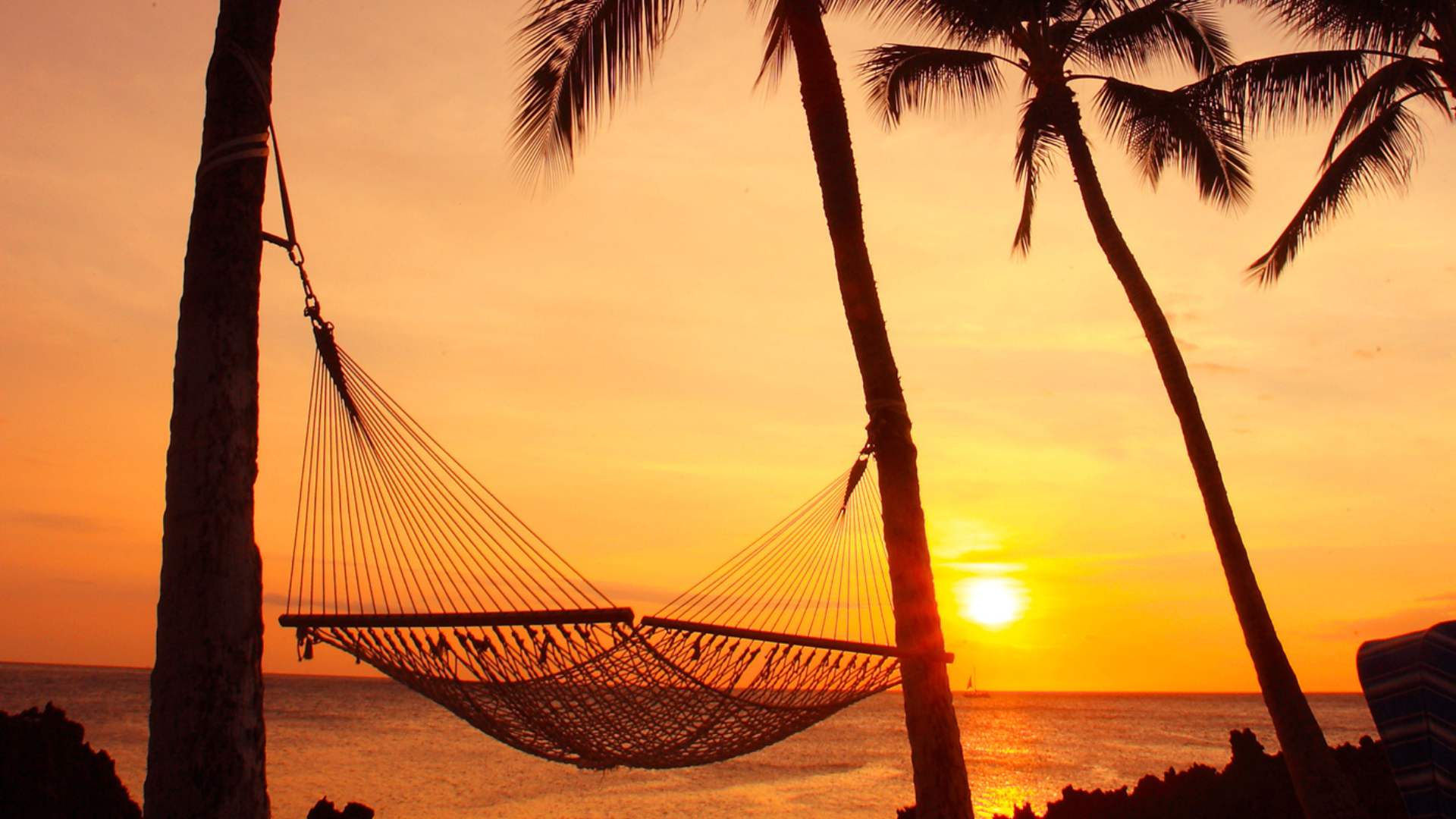Achieve the perfect work-life balance with a flexication in Hawai‘i ...