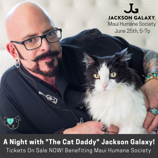 A Night with "The Cat Daddy" Jackson Galaxy! Go Hawaii