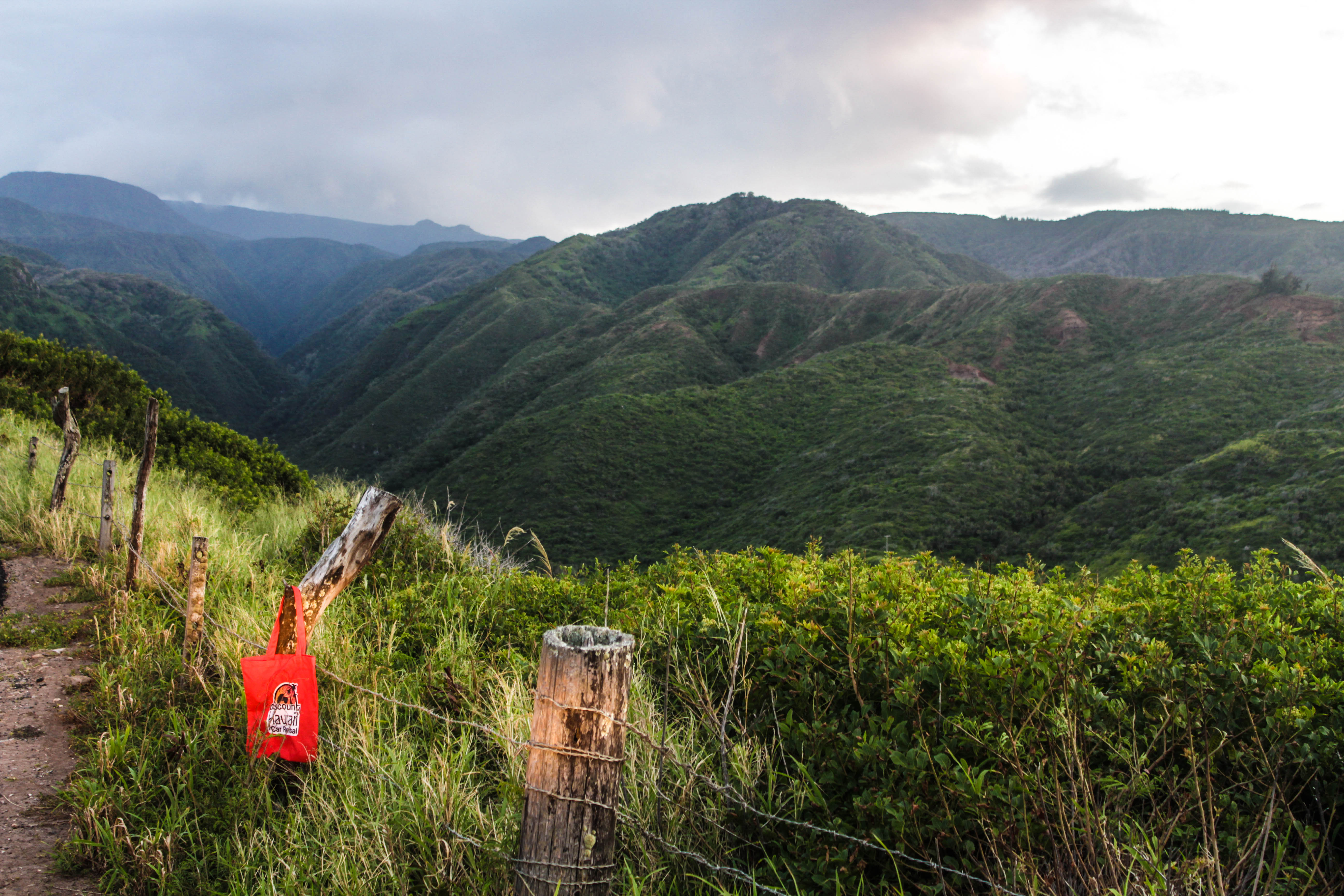 Discount Hawaii Car Rental Maui Go Hawaii