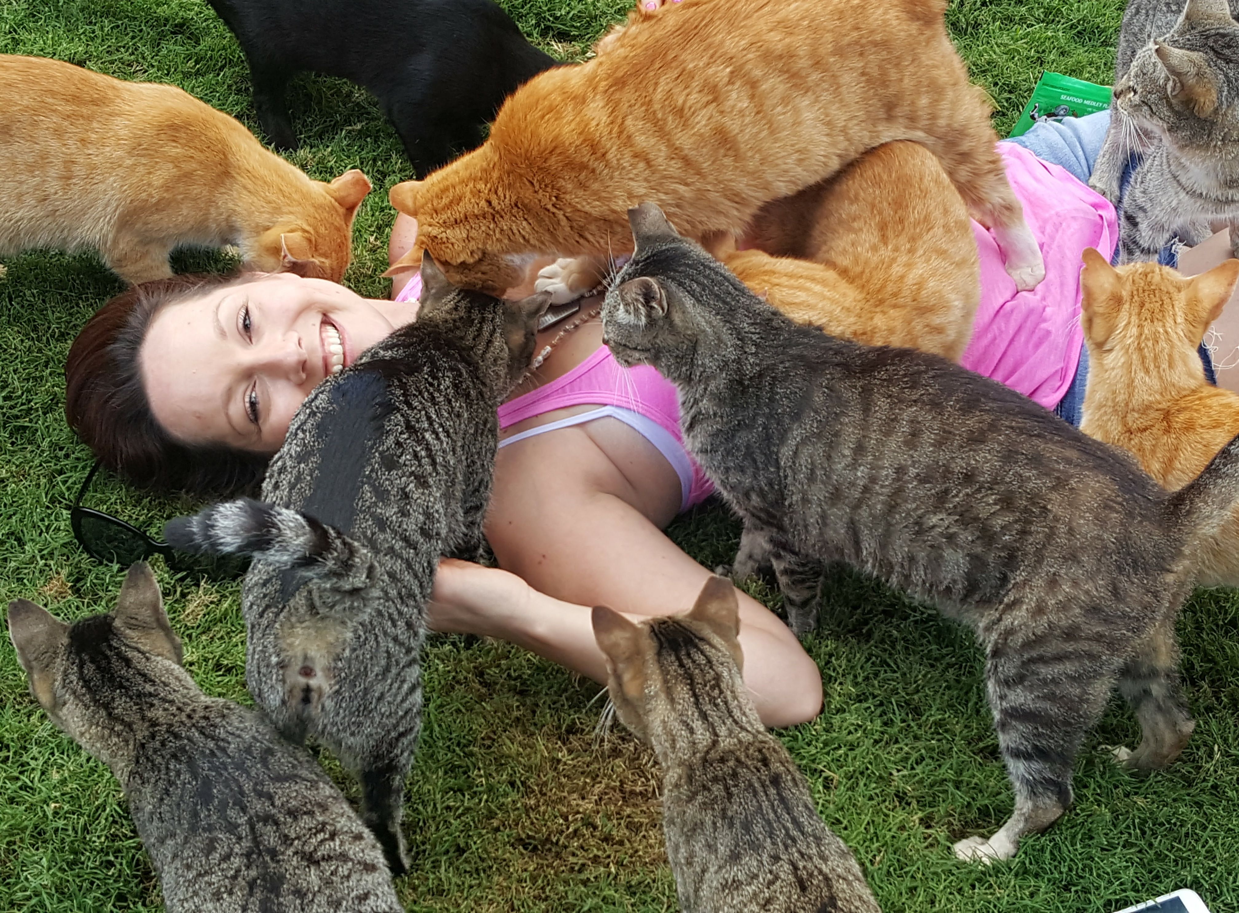 Cat sanctuary deals