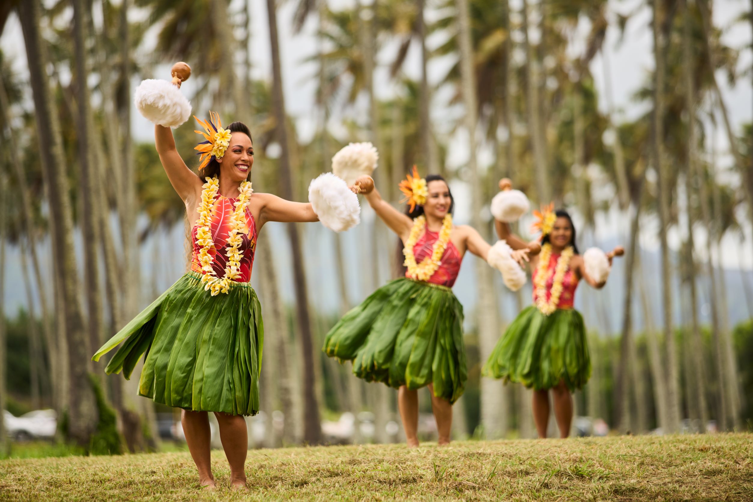 National Luau Day 2024 Activities Sophi Elisabet
