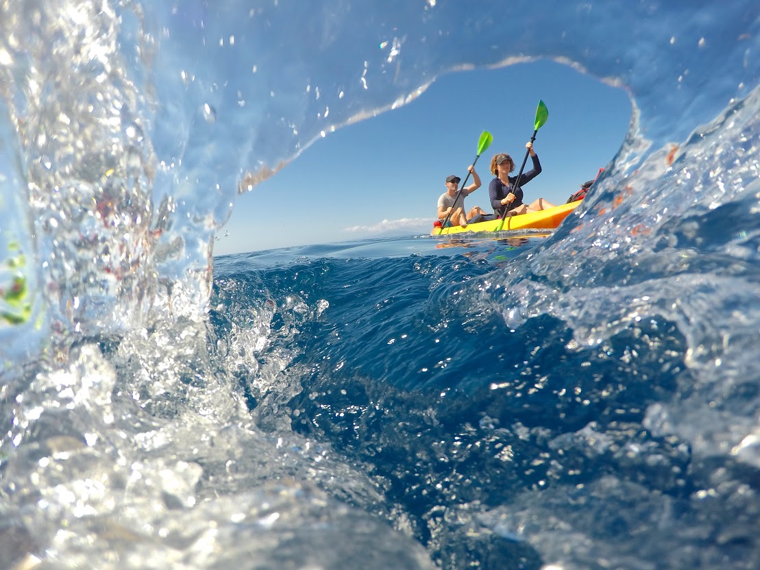 Maui Kayak Adventures LLC Go Hawaii