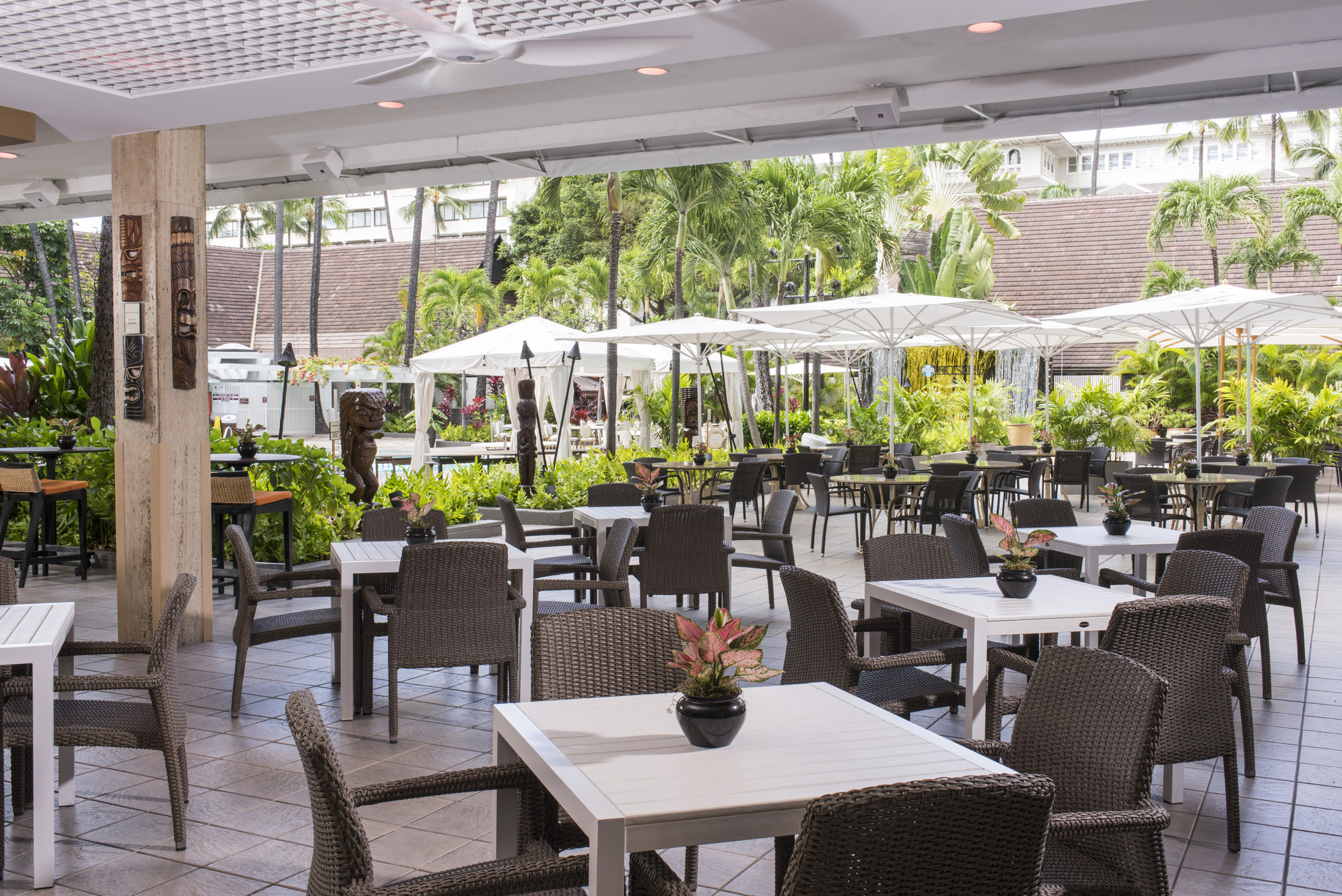 Splash Bar Go Hawaii