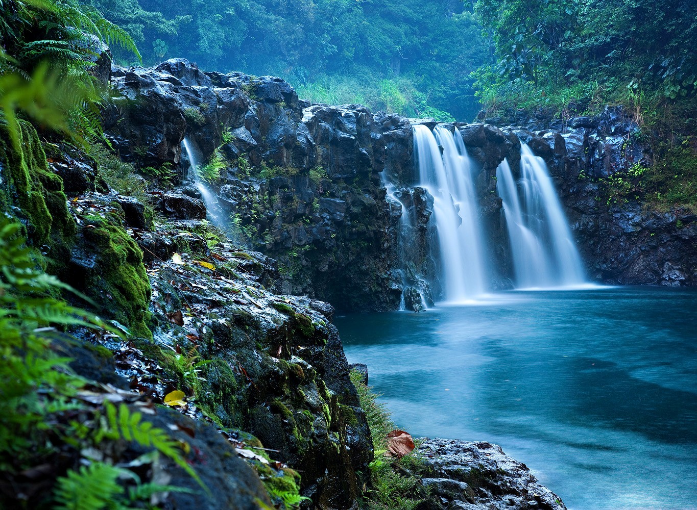 The Falls at Reed's Island Go Hawaii