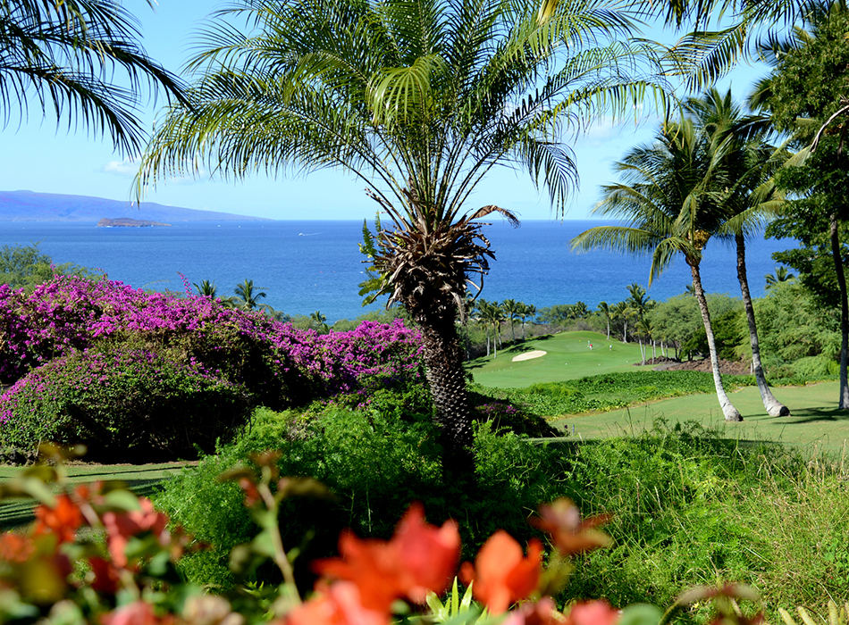 Wailea Golf Club Emerald Course Go Hawaii