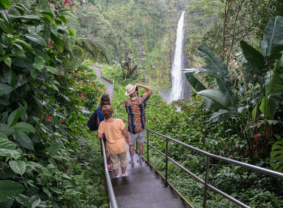 wasabi tours hawaii