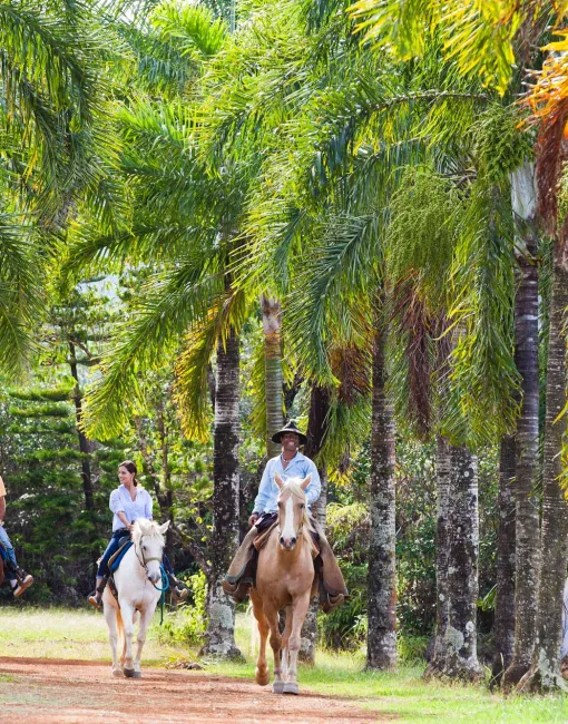 Horseback Riding in Kauai