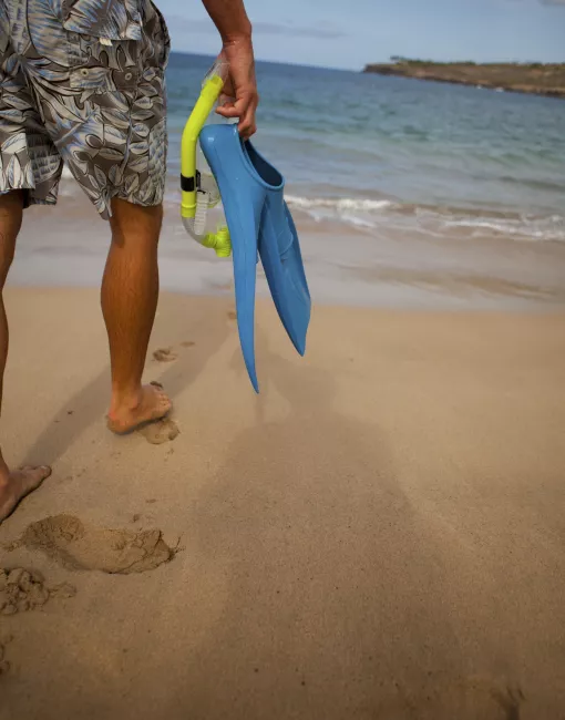 Snorkeling on a sunny day in Lanai