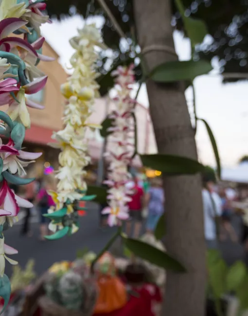 Lei on Hawaii