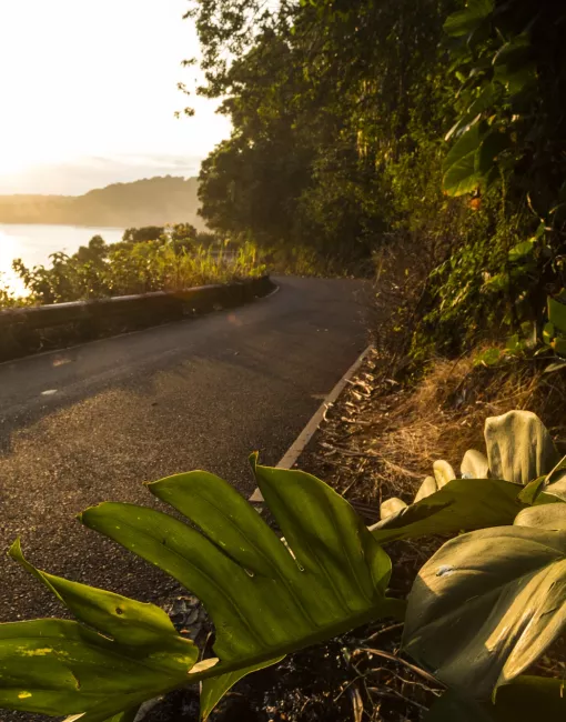 Scenic drive on Maui