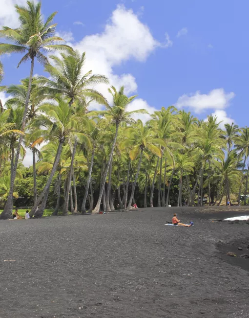 Black sand beach with a person relaxing under tall palm trees and a clear blue sky.