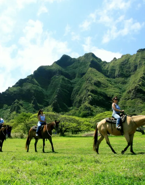 kualoa-horses