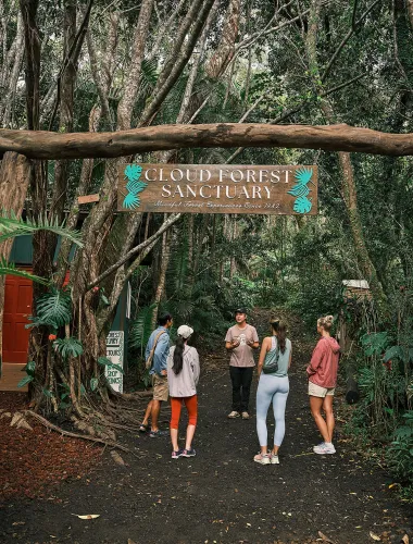 Tour of the Kona Cloud Forest Sanctuary on the island of Hawaiʻi
