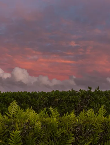 Kohala Sunset