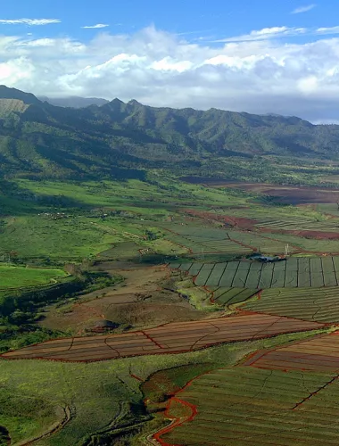 Central Oahu farms