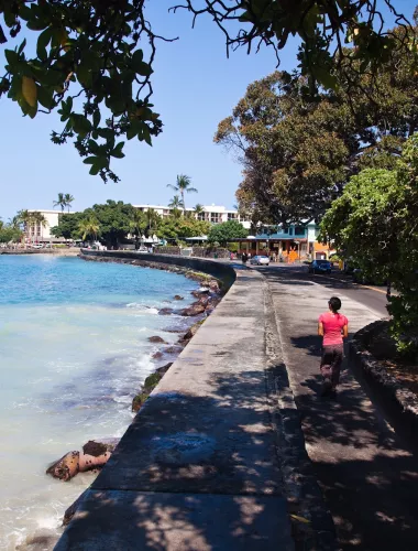 A pedestrian pathway along side a beach shaded by large trees on a sunny day.