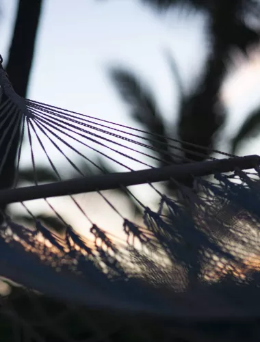 Hammock in Hawaii