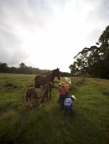Cabalgatas