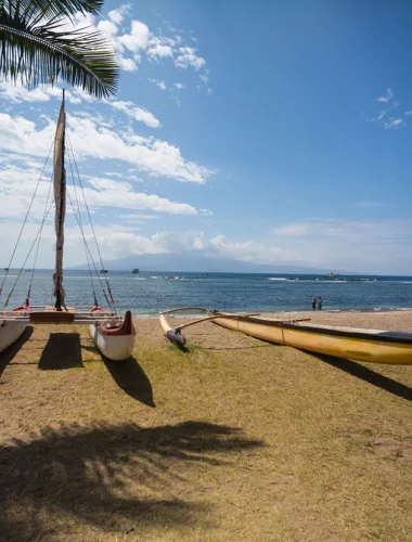 Maui Beach