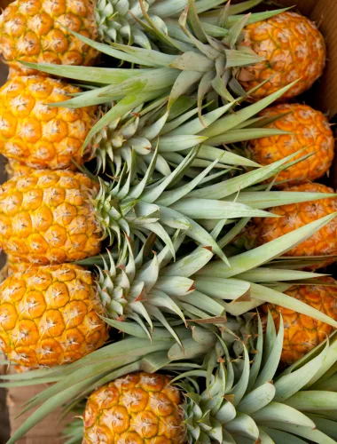 Fresh pineapple for sale at Kapiolani Community College Farmers' Market