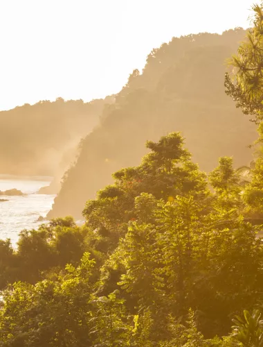 Misty coast