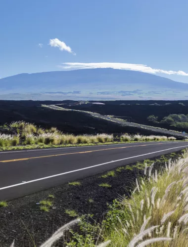 A scenic byway trimmed in beautiful feathery grasses on a sun day.