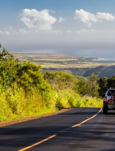 Road in Hawaii