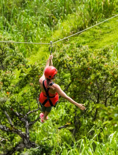 Ziplining & Rappelling