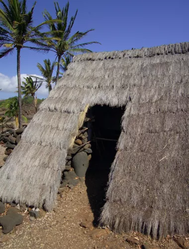 Restored thatched hut with a backdrop of palm trees at Lapakahi State Historical Park.