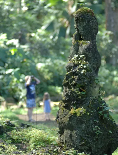 A unique lava tree formation surrounded by lush greenery with people walking in the background at Lava Tree State Park.