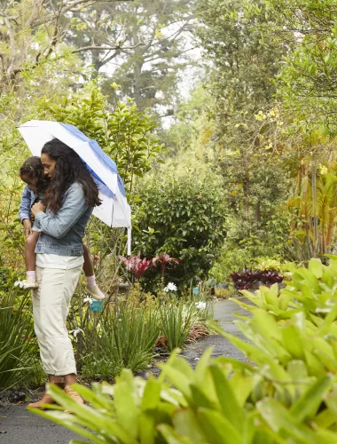MAUI_KULA_GARDEN