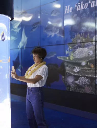 Woman taking picture of fish at aquarium.
