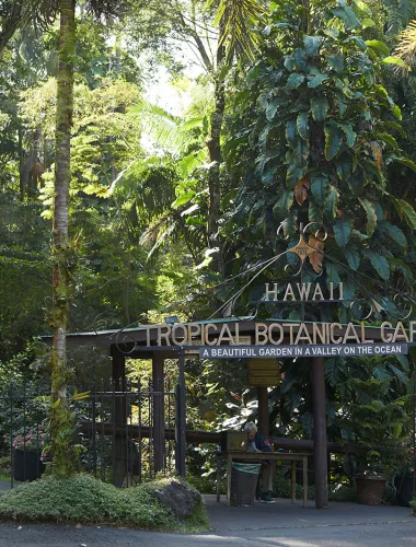Entrance to the Hawaii Tropical Botanical Garden, surrounded by lush green plants and trees.
