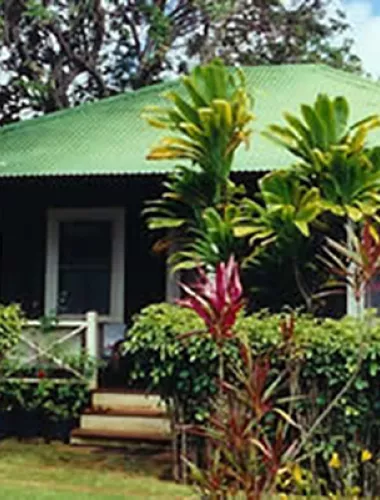 A quaint green-roofed plantation house surrounded by tropical plants.