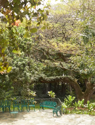 Hanaiakamalama (Queen Emma Summer Palace)