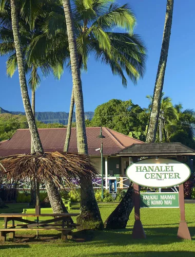 Charming Hanalei Town Center surrounded by tropical trees and lush greenery.