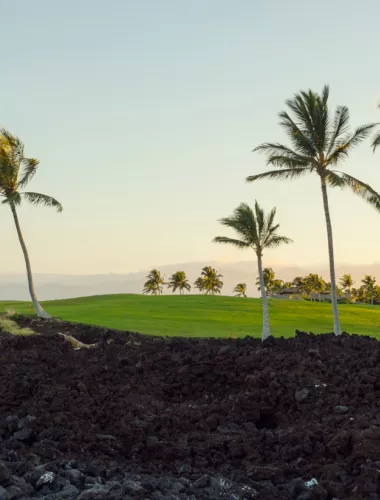 Palm trees and a golf course with ocean views on the island.