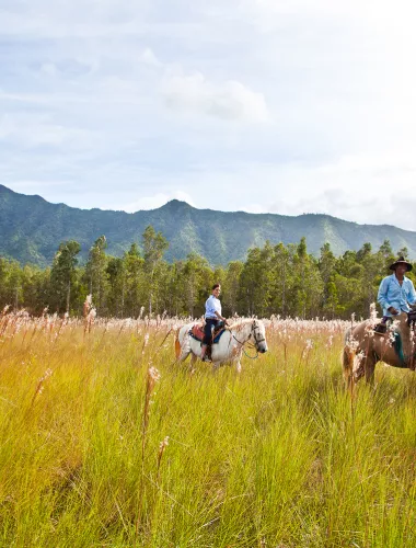 Horseback Riding